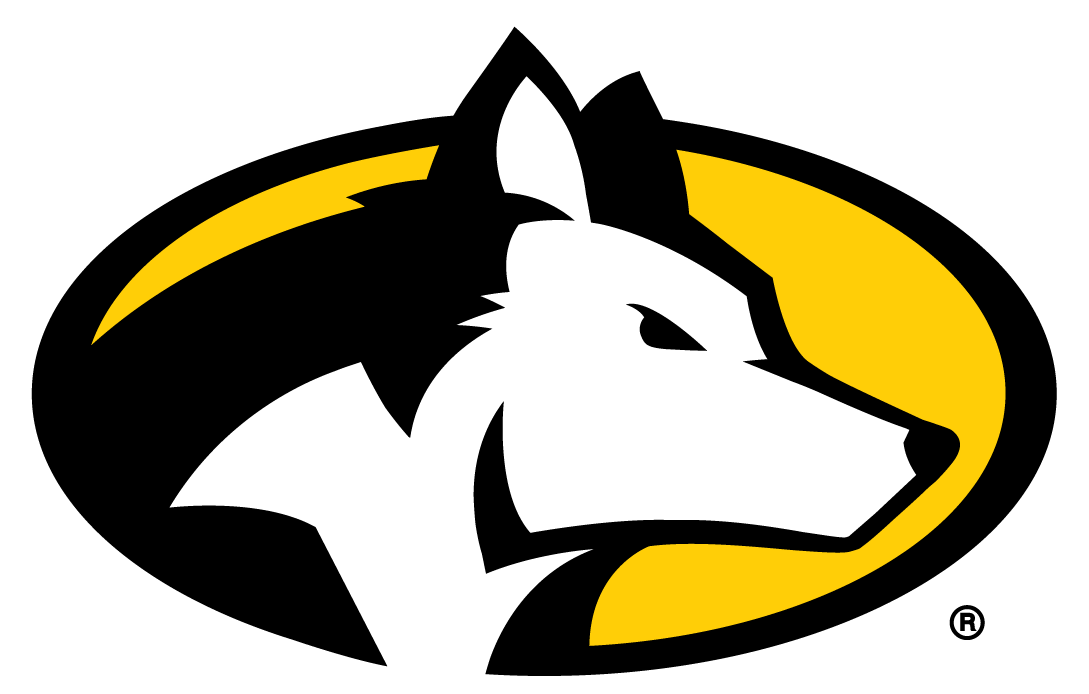 Michigan Tech Huskies 2016-Pres Partial Logo iron on transfers for T-shirts